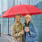 Referenzbild - Eco Auto (rot) Referenzbild - Eco Auto (rot)